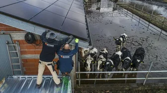 Montaż instalacji PV na dachu obory